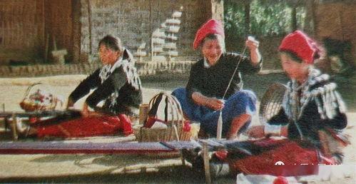 唐朝鸭子国产馆视频老王,老王带你领略唐朝鸭子国产馆的独特魅力