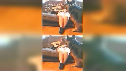 隔壁老王国产本地视频,揭秘国产本地视频的魅力与温情